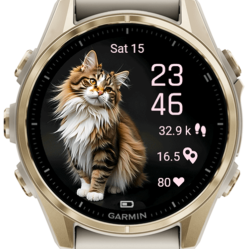 Cat Selfie Charm G · Screenshot 2