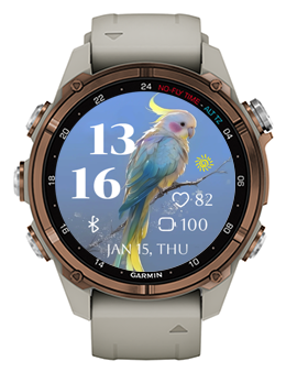 Pretty Parrot · Screenshot 0