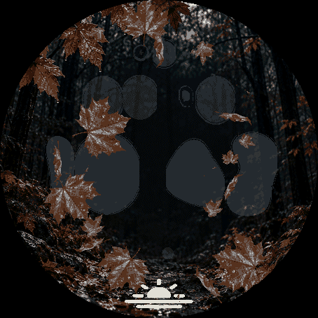 Autumn Focus Pro · Screenshot 2