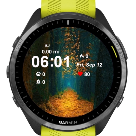 Forest View · Screenshot 0