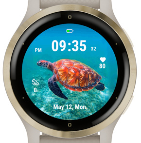 Coral Turtle · Screenshot 2