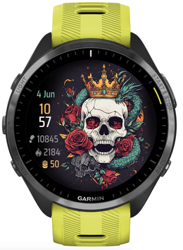 Skull King · Screenshot 1