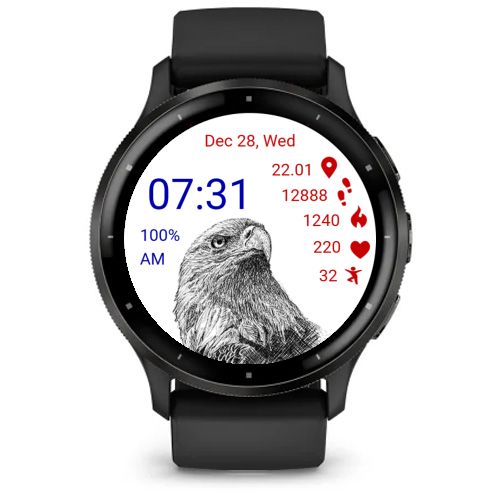Bald Eagle 01 · Screenshot 3