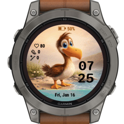 Cute Duck 2