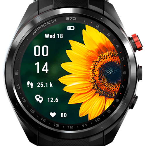 Radiant Sunflower G · Screenshot 3