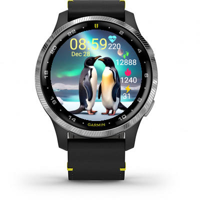 Penguins S02 · Screenshot 0