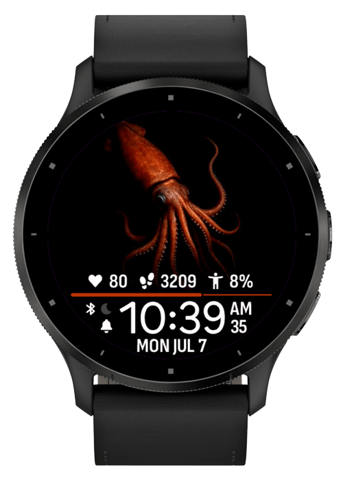 每日海洋生物 · Screenshot 1