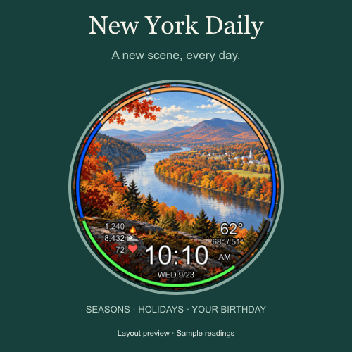 New York Daily · Screenshot 2