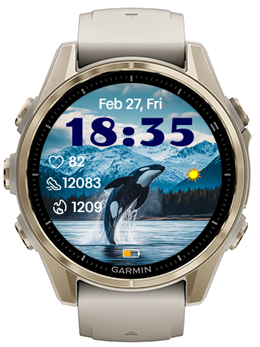 Killer Whale · Screenshot 1