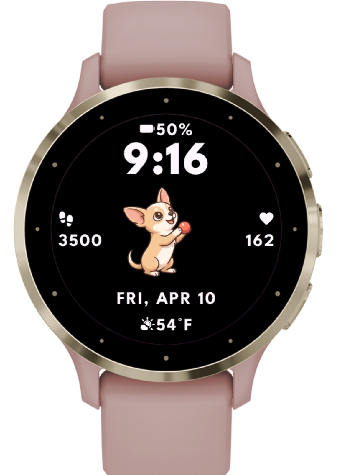 Chihuahua Dog - Animated · Screenshot 1