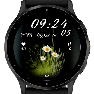 Meadow Daisy · Screenshot 3