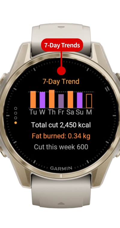 BurnBudget - Auto Calorie Diet without Food Log · Screenshot 3