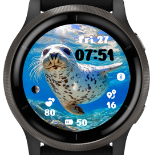 Spotted Seal · Screenshot 1