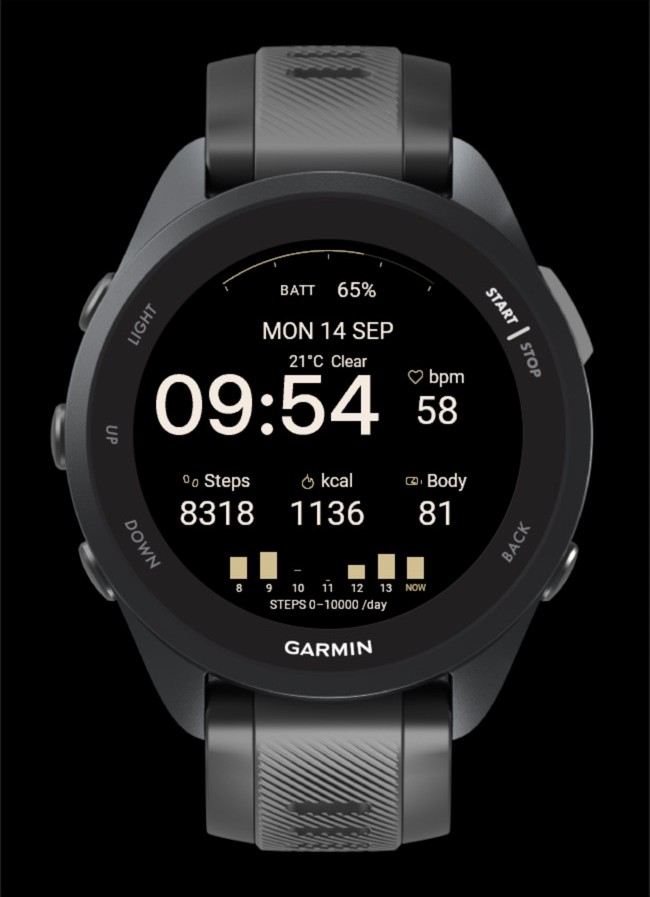 Dialform Data Watch Face · Screenshot 2