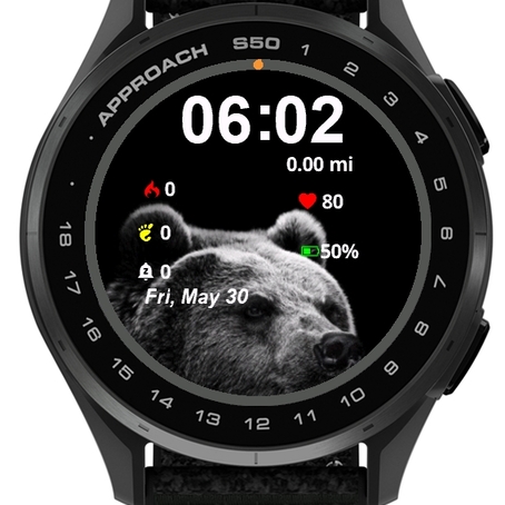 Black Bear · Screenshot 0