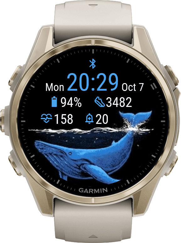 Whitewhale · Screenshot 3