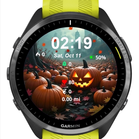Autumn Pumpkins · Screenshot 0
