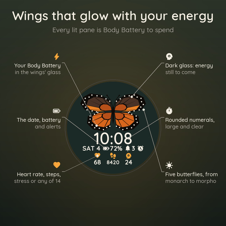 Fjäril – Butterfly · Screenshot 1