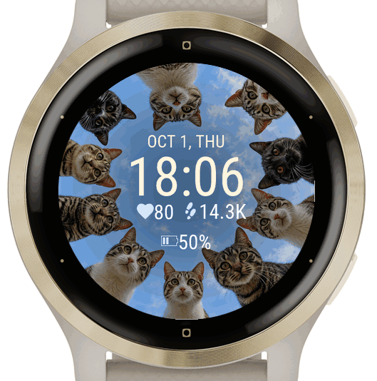 Cat Circle · Screenshot 2