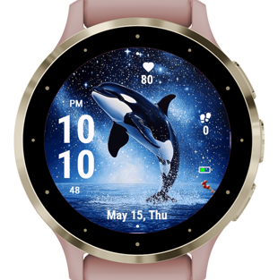 Star Orca · Screenshot 0