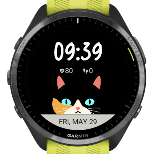 Cat Colorful · Screenshot 2