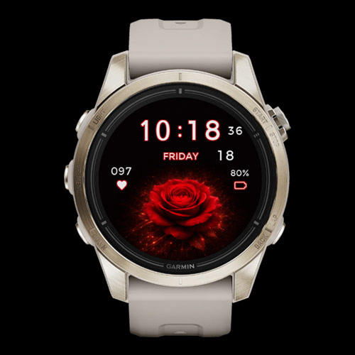 Crimson Rose (Your Data. Your Style) 2