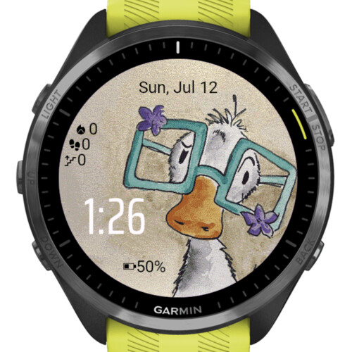 Funny Goose | Connect IQ Store