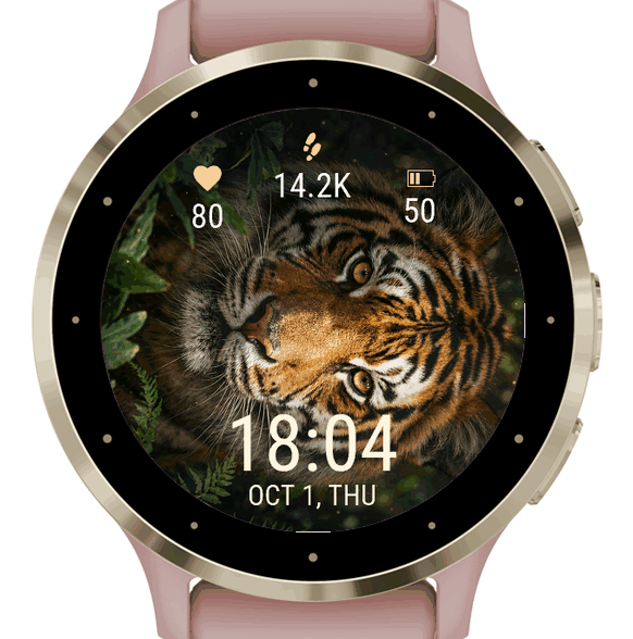 tiger · Screenshot 0