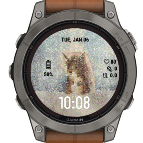 Winter Squirrel Watercolor · Screenshot 0