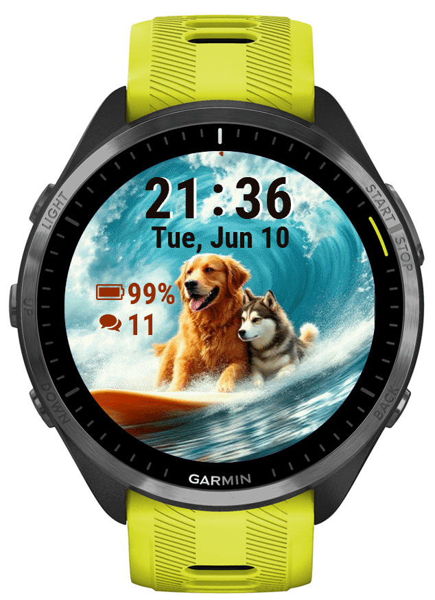 Flipper · Screenshot 1
