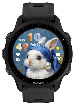 Pearl Rabbit · Screenshot 0
