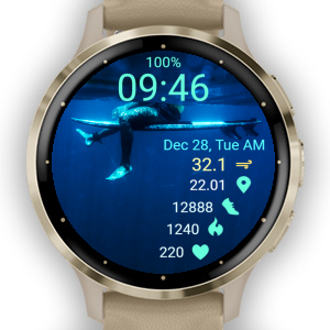 Surf 03 · Screenshot 2