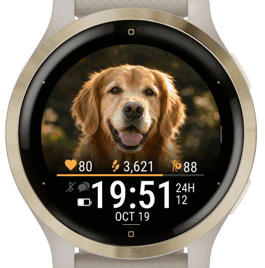 My Pet · Pawtrait · Screenshot 2