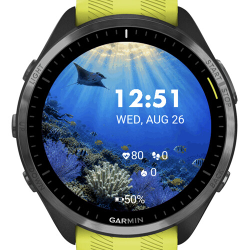 Diver Animated · Screenshot 2