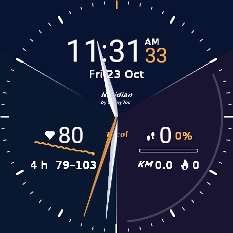 Neridian Tricol - analog display · Screenshot 0