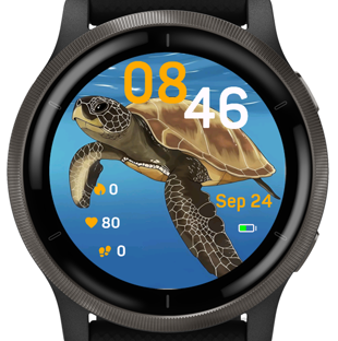 Ocean Turtle · Screenshot 1
