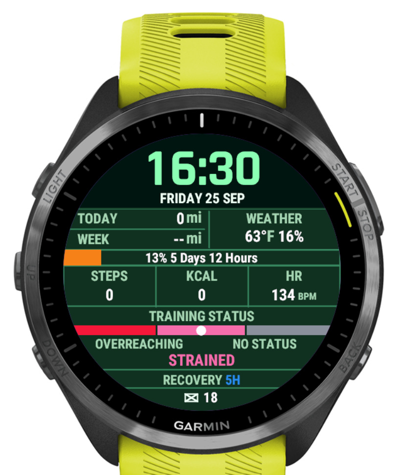 N13 Elite - Performance Dashboard Watch Face · Screenshot 4