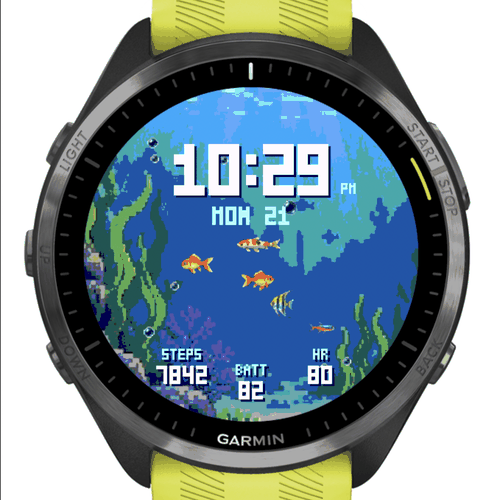Aquarium · Screenshot 4