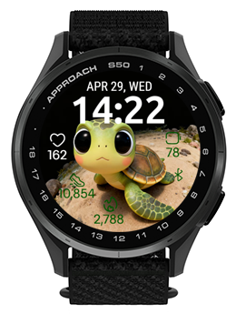 Cartoon Turtle · Screenshot 1
