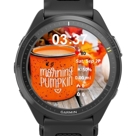 Morning Pumpkin · Screenshot 0