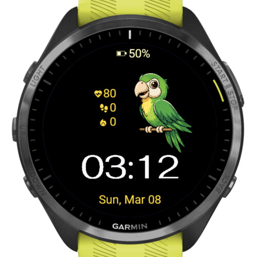 Green Parrot 4