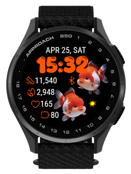 Auspicious Fish 4