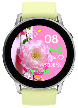 Fairy Rose 3