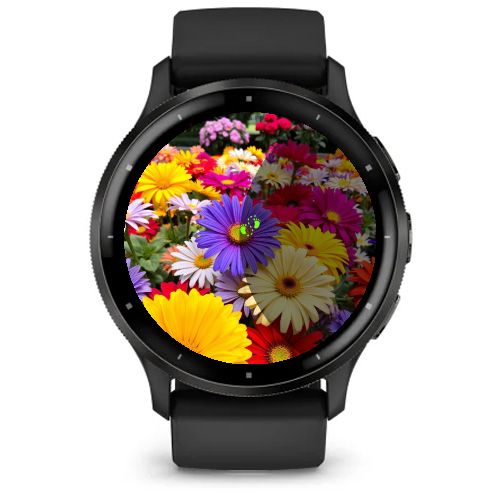 Colorful · Screenshot 2