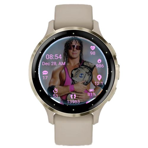 WWF Superstar Bret Hart 3