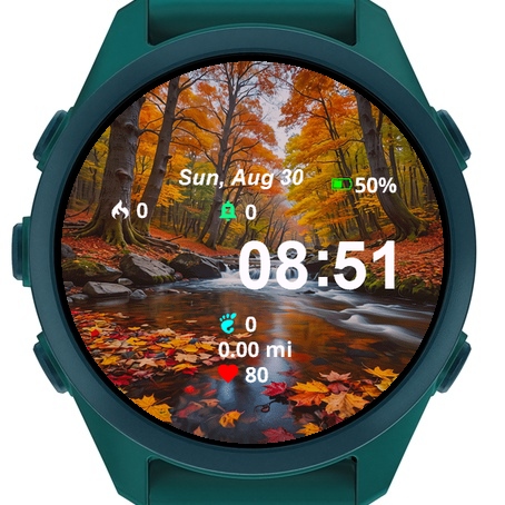 View Fall Leaves Water Rocks · Screenshot 0