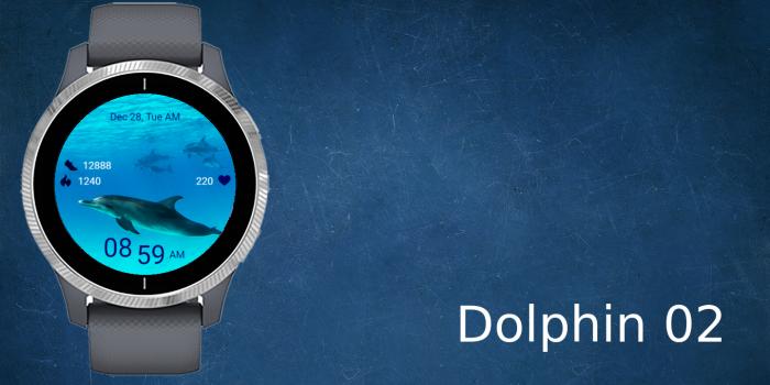 Dolphin 02 · Screenshot 0