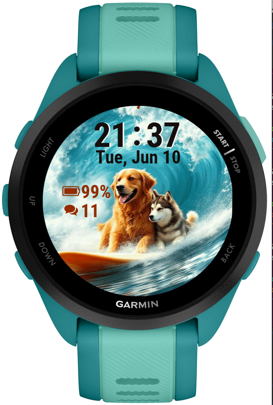 Flipper · Screenshot 0