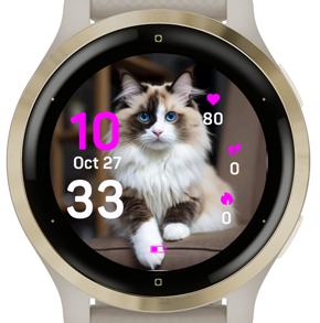 Daily Cat · Screenshot 0