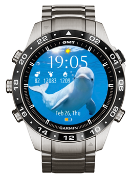 Beluga Whale · Screenshot 1